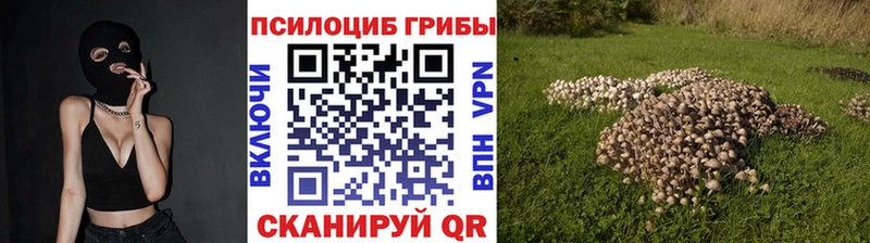 где продают наркотики Циолковский Галлюциногенные грибы мухоморы